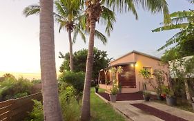 La casa des cocotiers